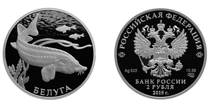 Белуга Кемерово Интернет Магазин