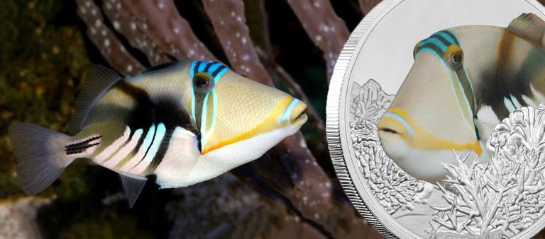 Тропические рыбы на долларах Ниуэ