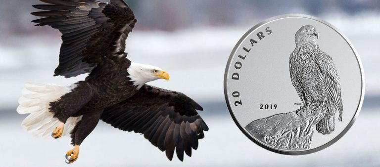 Белоголовый орлан появился на $20 Канады
