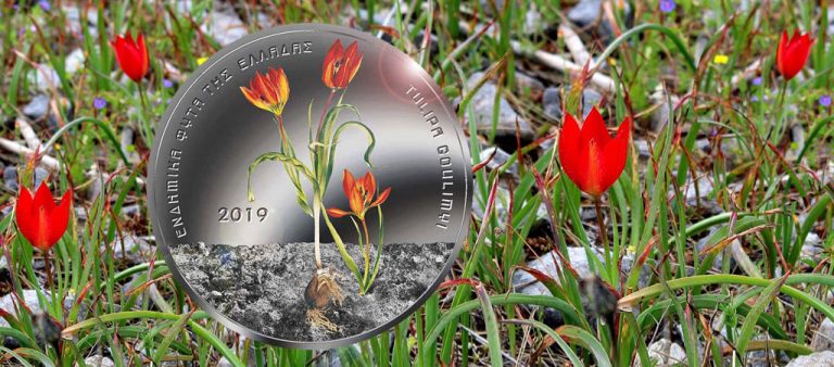 Новые €5 из серии "Растения Греции" Новые €5 из серии "Растения Греции"