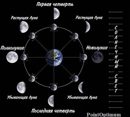 Серебряные 3 рубля «Лошадь» из серии «Лунный календарь»
