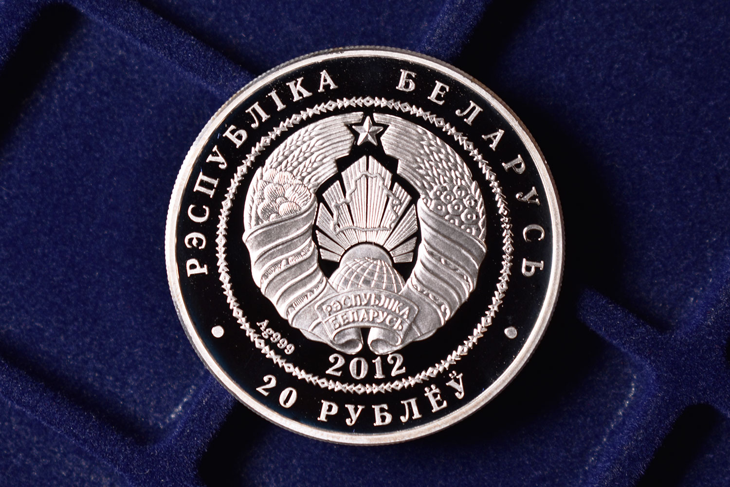 20 рублей 2012 - Зубры (аверс)
