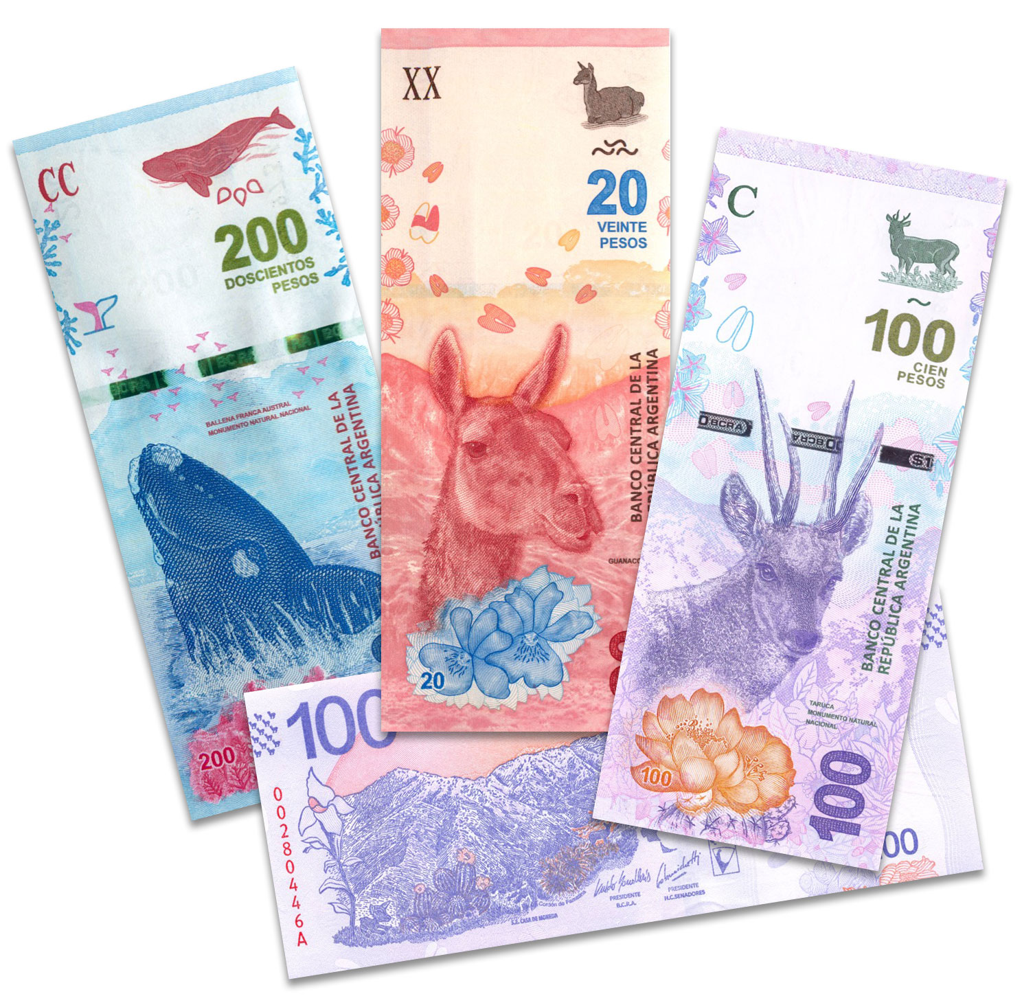Банкноты Аргентины