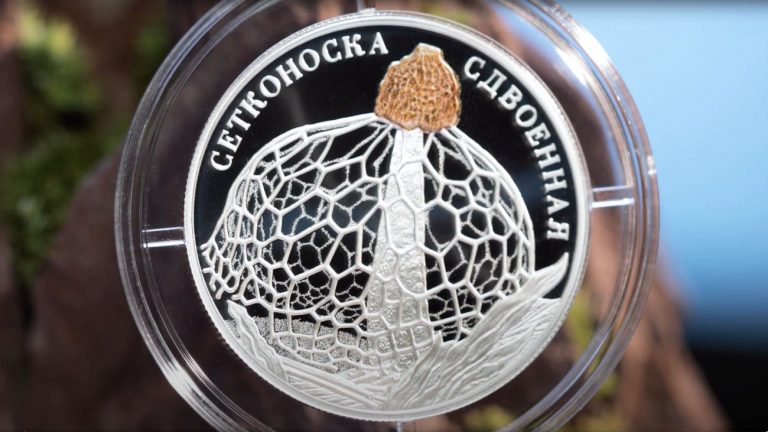 Сетконоска или "дама с вуалью" на 2 рублях РФ 2 рубля 2022 - Сетконоска сдвоенная