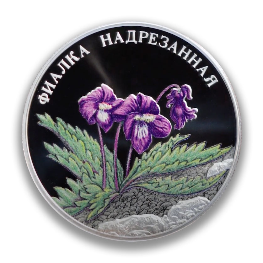 2 рубля 2022 - Фиалка надрезанная (серебро)